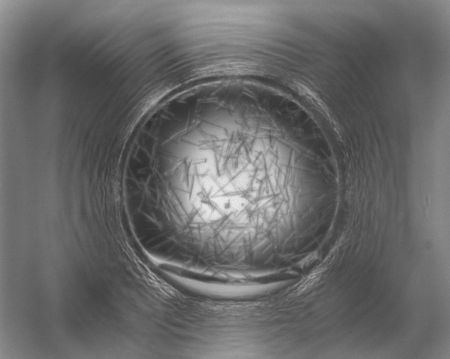 X0000056341081200509161729