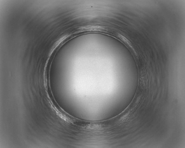 X0000056341082200509161729