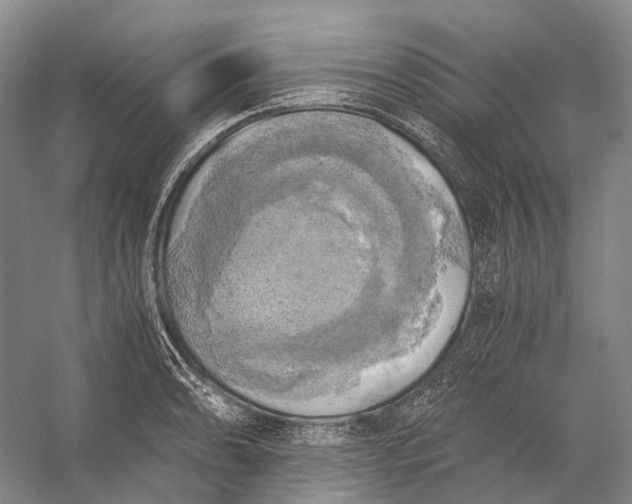 X0000056341086200509161729