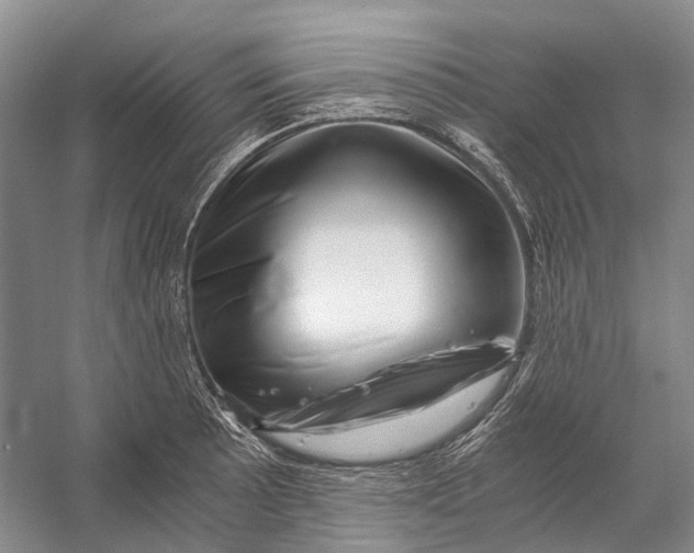 X0000056341089200509161729