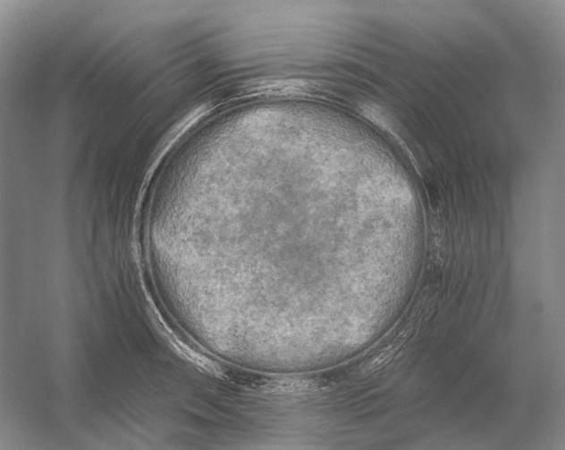 X0000056341090200509161729