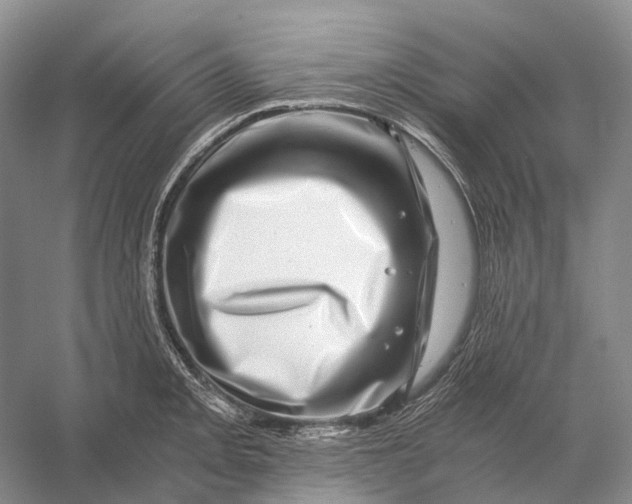 X0000056341093200509161729