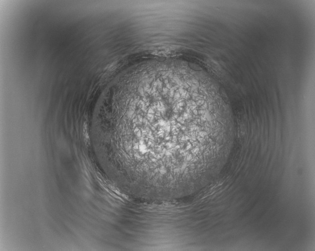 X0000056341106200509161728