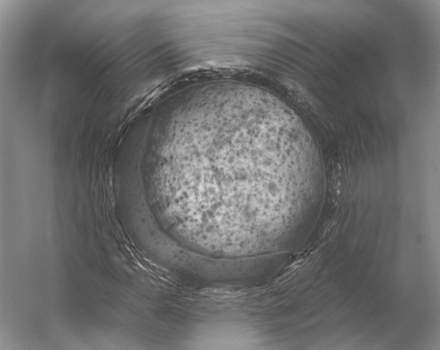 X0000056341110200509161728