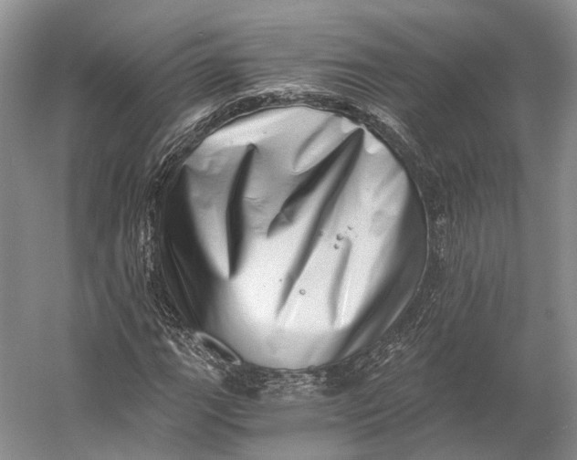 X0000056341111200509161728