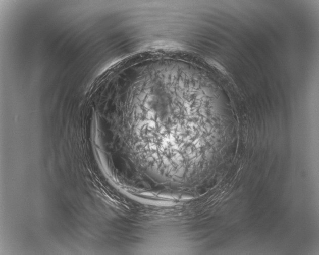 X0000056341112200509161728