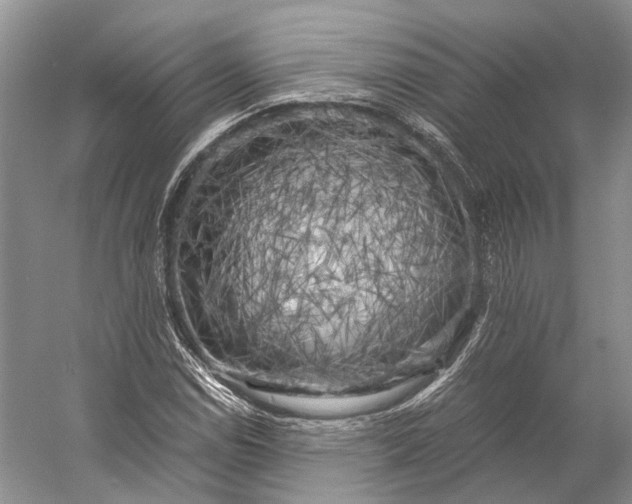X0000056341114200509161728