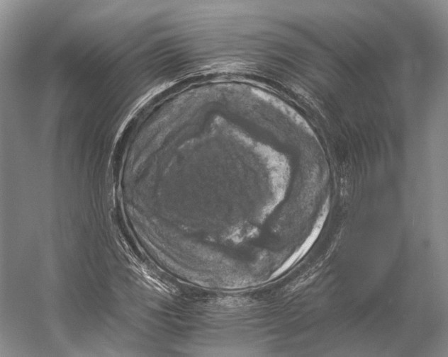 X0000056341117200509161728