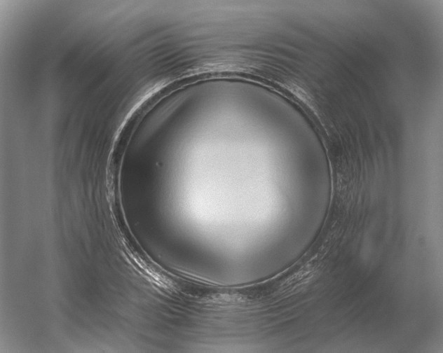 X0000056341119200509161728