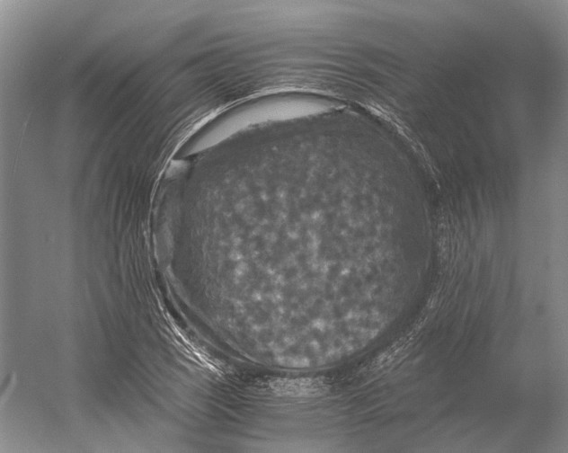 X0000056341121200509161728