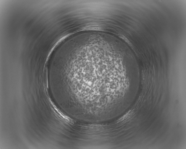 X0000056341123200509161728