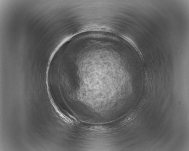 X0000056341128200509161729