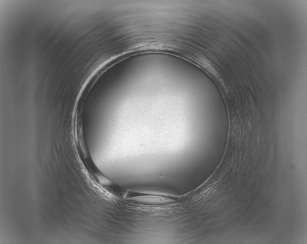 X0000056341132200509161729
