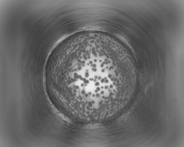 X0000056341133200509161729