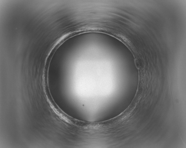 X0000056341134200509161729