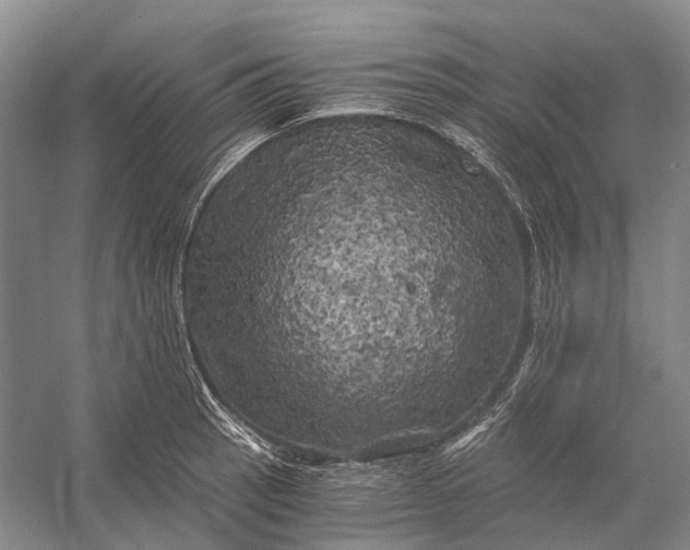 X0000056341137200509161729