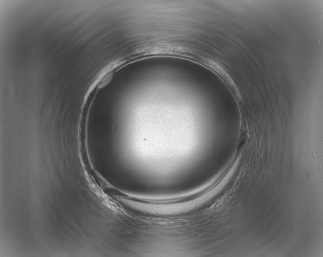 X0000056341138200509161729