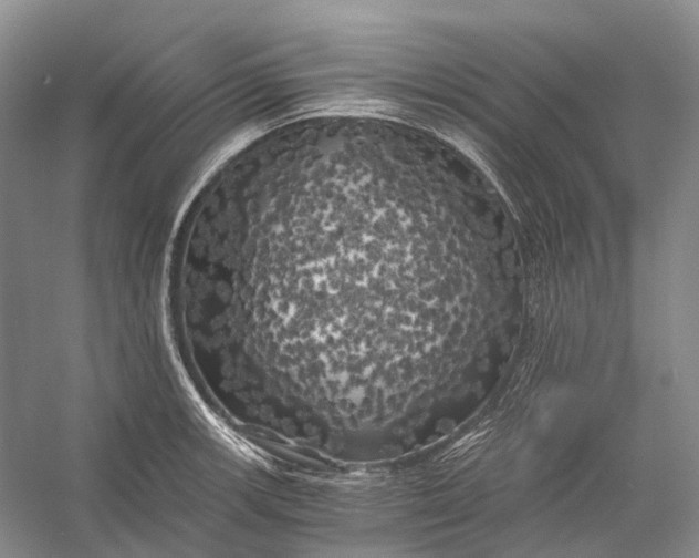 X0000056341139200509161729