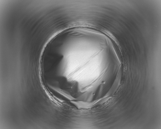 X0000056341144200509161729