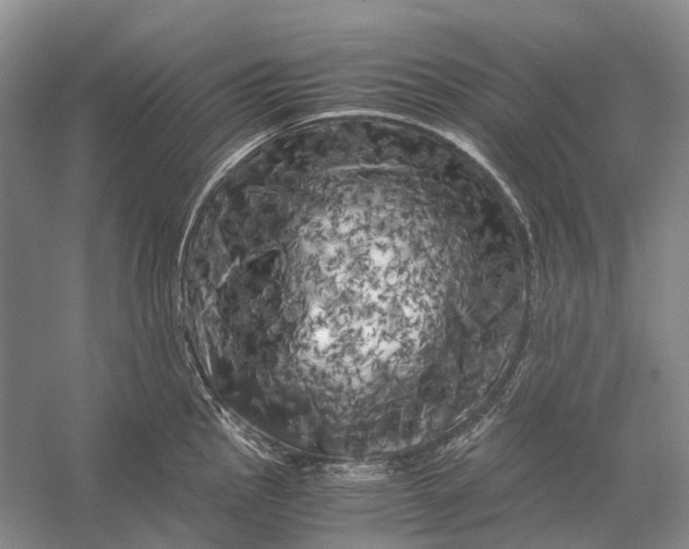 X0000056341145200509161729