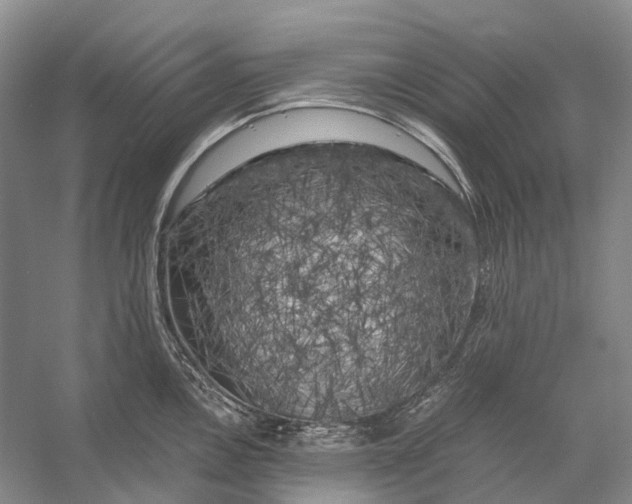 X0000056341146200509161729