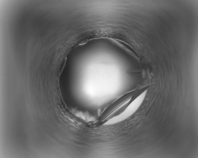 X0000056341153200509161728