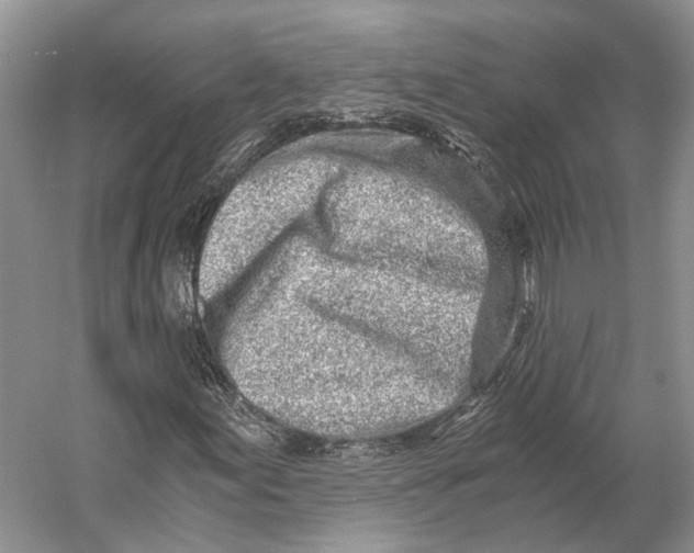 X0000056341155200509161728