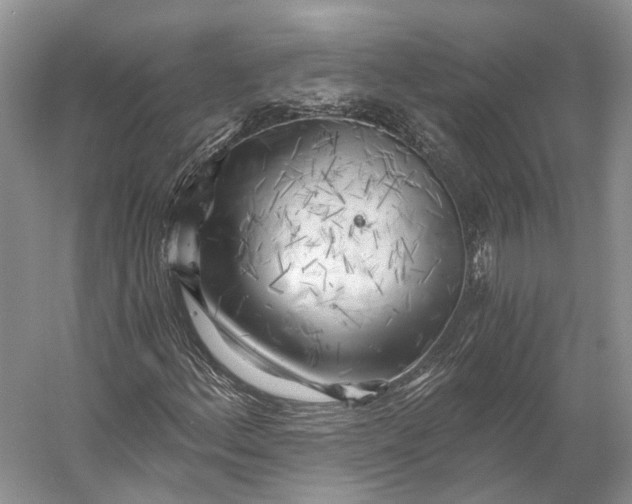 X0000056341156200509161728