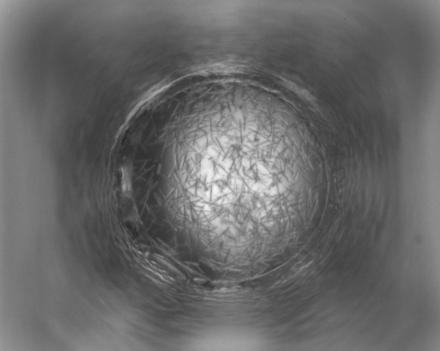 X0000056341160200509161728