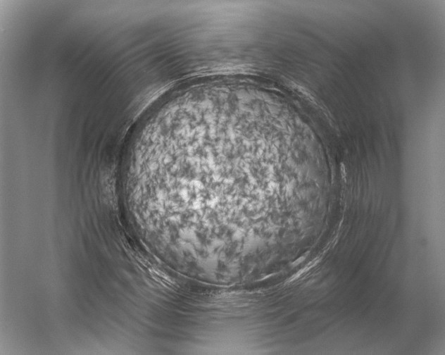 X0000056341162200509161728