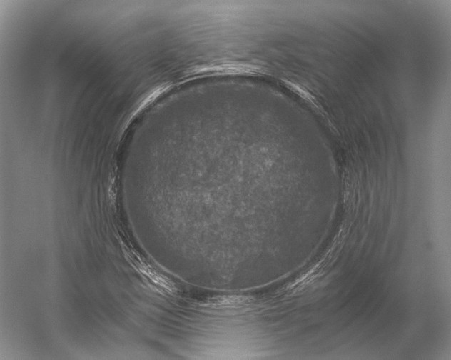 X0000056341163200509161728