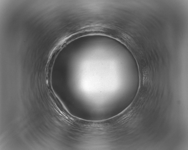 X0000056341164200509161728