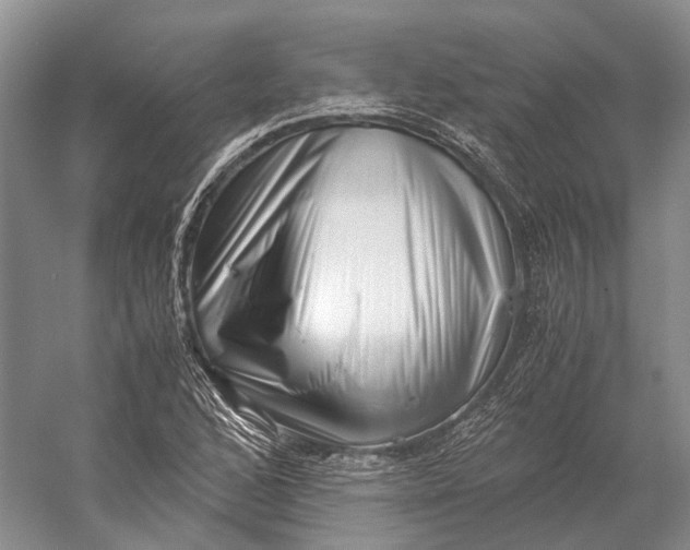 X0000056341168200509161728