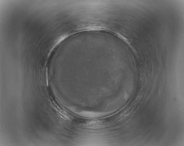 X0000056341171200509161728