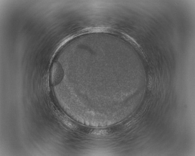 X0000056341174200509161728