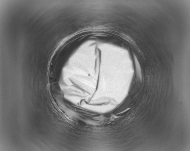 X0000056341176200509161728