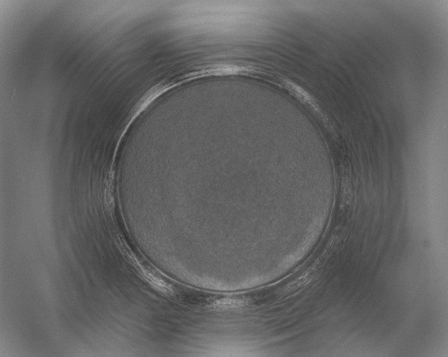 X0000056341178200509161728