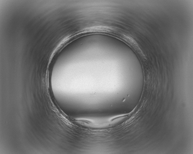 X0000056341180200509161728