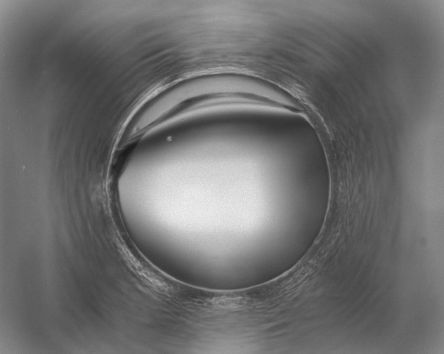 X0000056341181200509161728