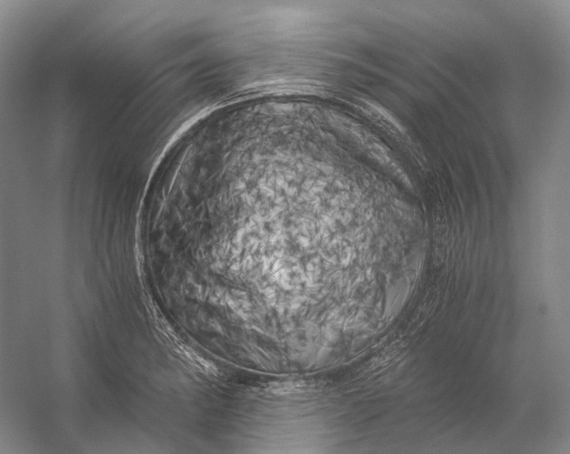 X0000056341182200509161728