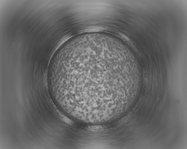 X0000056341186200509161728