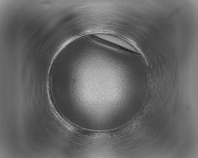 X0000056341187200509161728