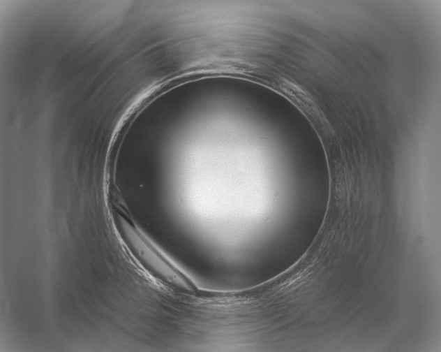 X0000056341188200509161728
