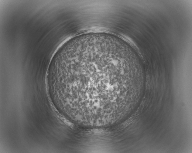 X0000056341190200509161727