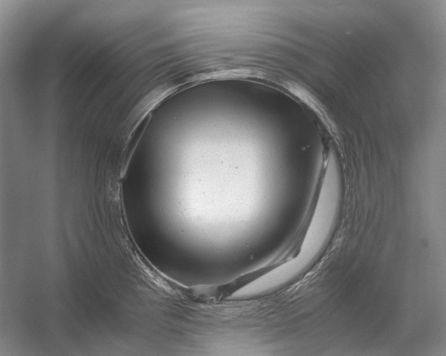 X0000056341193200509161727
