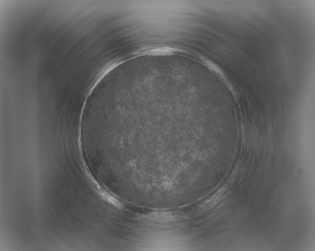 X0000056341194200509161727