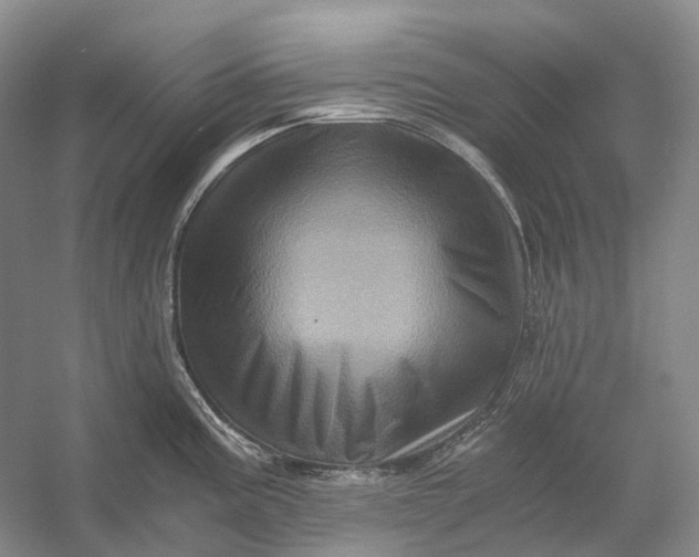 X0000056341195200509161727