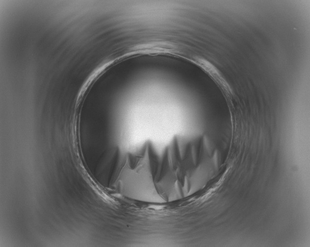 X0000056341196200509161727