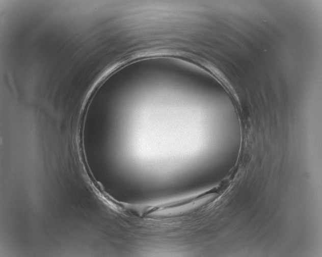 X0000056341197200509161727