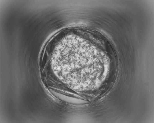 X0000056341200200509161727